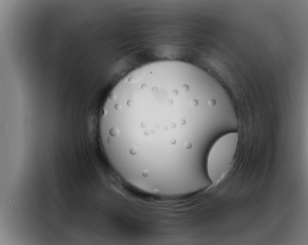X0000088490171200705221030