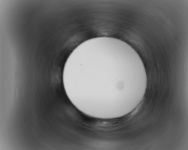 X0000088490174200705221030