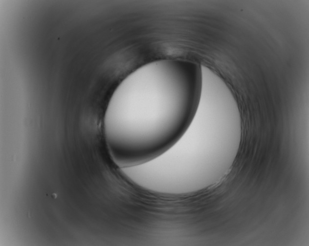 X0000088490176200705221030