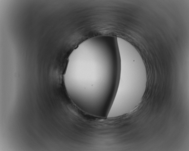 X0000088490180200705221030