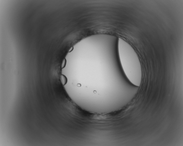 X0000088490181200705221030
