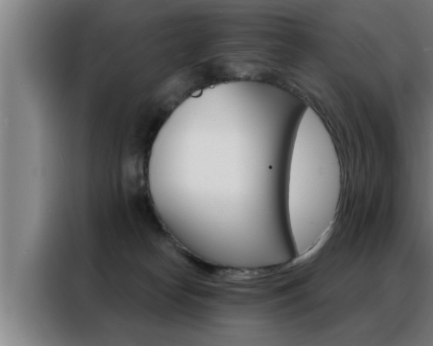 X0000088490182200705221030
