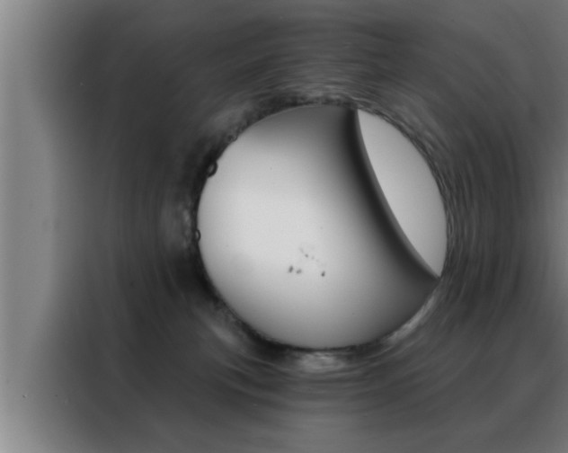 X0000088490183200705221030