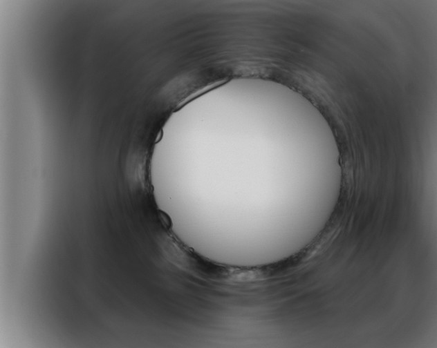 X0000088490185200705221030