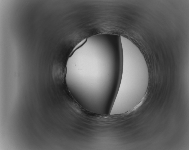 X0000088490186200705221030