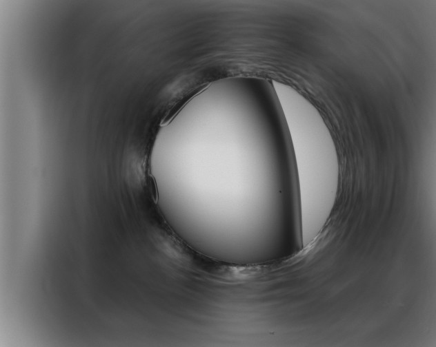 X0000088490188200705221030