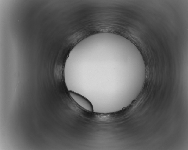 X0000088490189200705221030