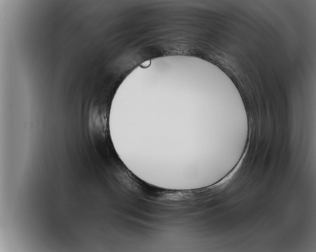 X0000088490190200705221030