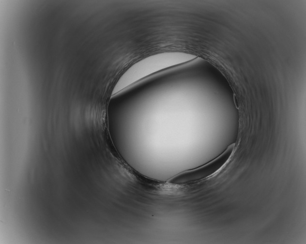 X0000088490192200705221030