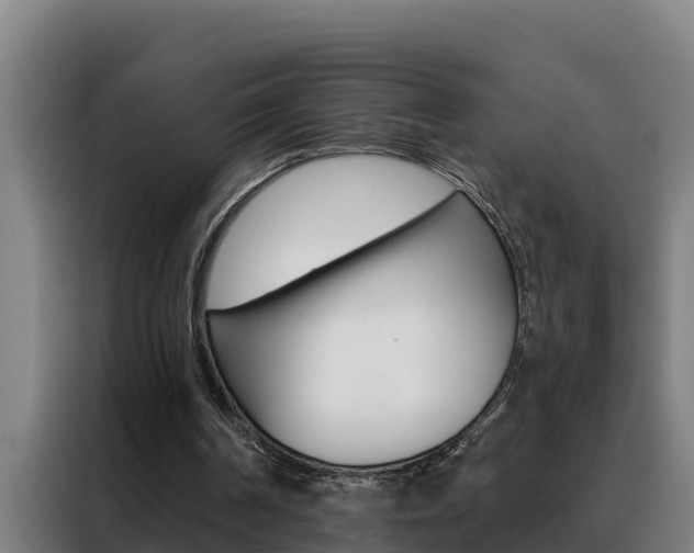 X0000088490194200705221029