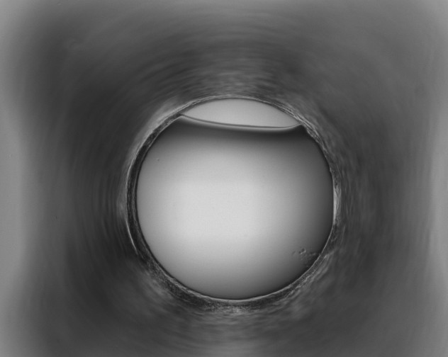 X0000088490195200705221029