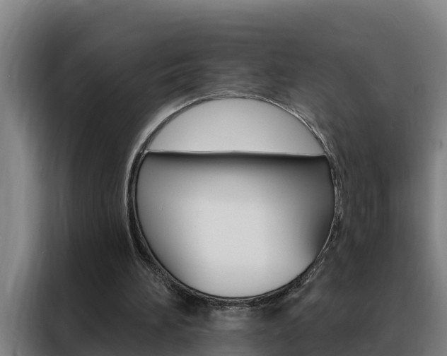 X0000088490196200705221029