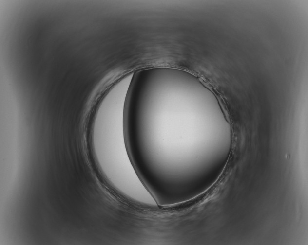 X0000088490197200705221029