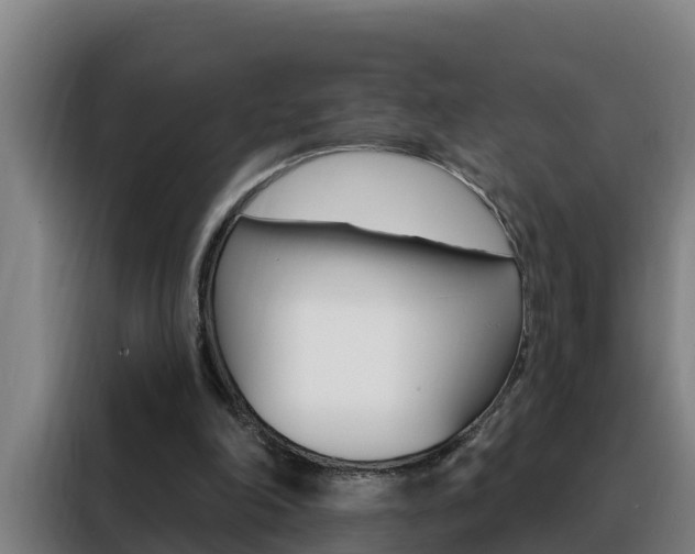 X0000088490198200705221029