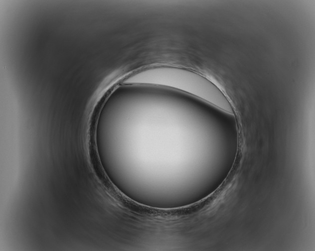 X0000088490199200705221029