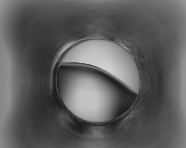 X0000088490200200705221029