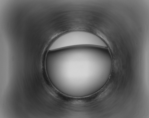 X0000088490203200705221029