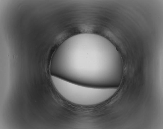 X0000088490209200705221029