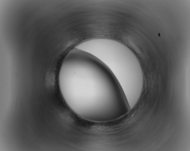 X0000088490211200705221029