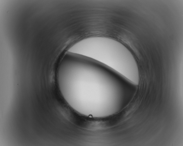 X0000088490212200705221029