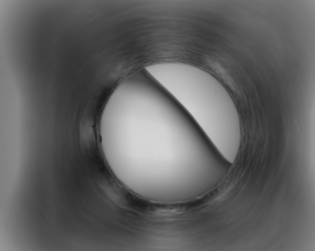 X0000088490213200705221029
