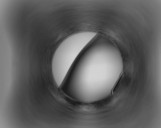 X0000088490215200705221029