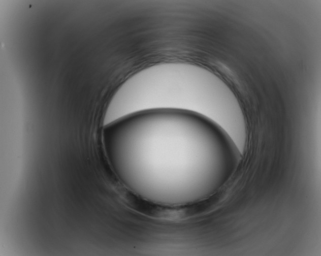 X0000088490217200705221029