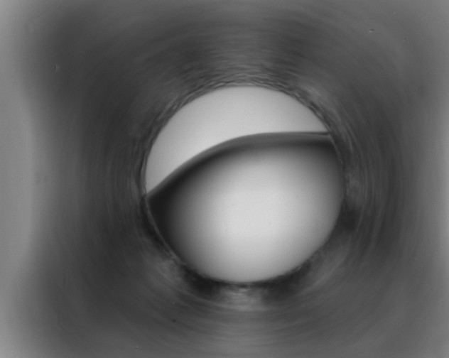 X0000088490221200705221029