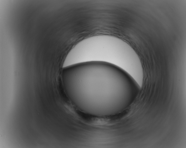 X0000088490223200705221029
