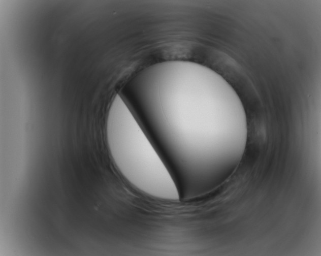 X0000088490224200705221029