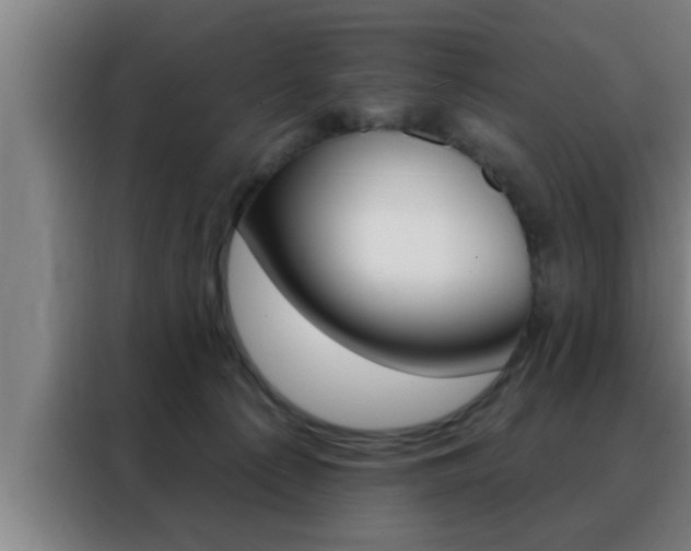 X0000088490225200705221029
