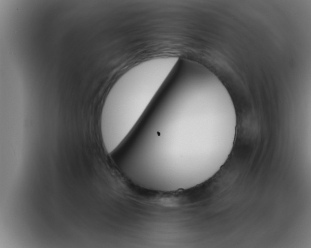 X0000088490228200705221029