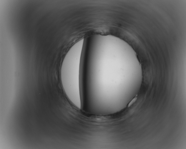 X0000088490229200705221029