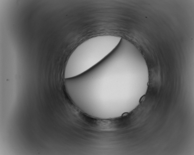 X0000088490230200705221029