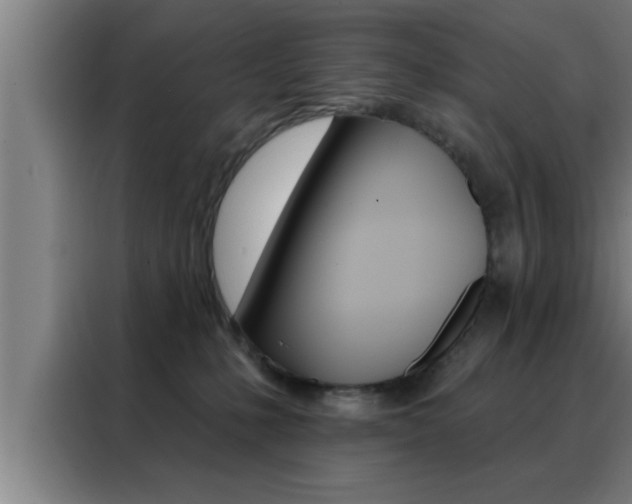 X0000088490231200705221029