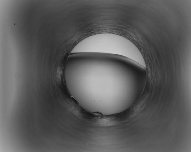 X0000088490235200705221029