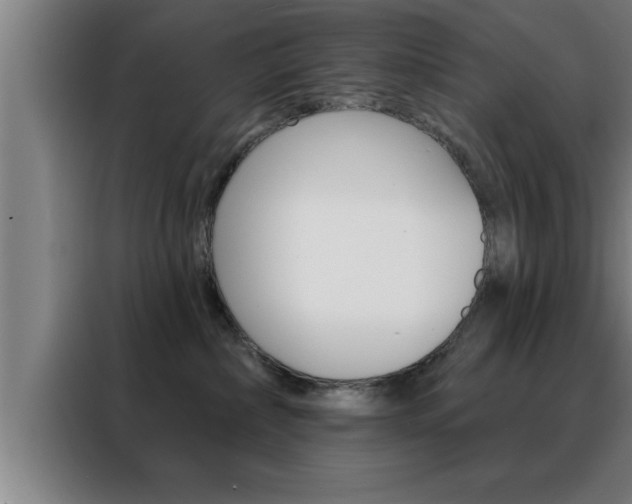 X0000088490236200705221029