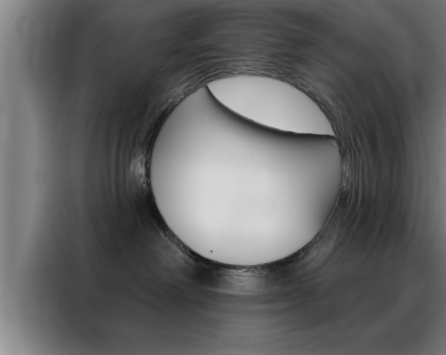 X0000088490238200705221029
