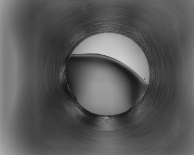 X0000088490239200705221029