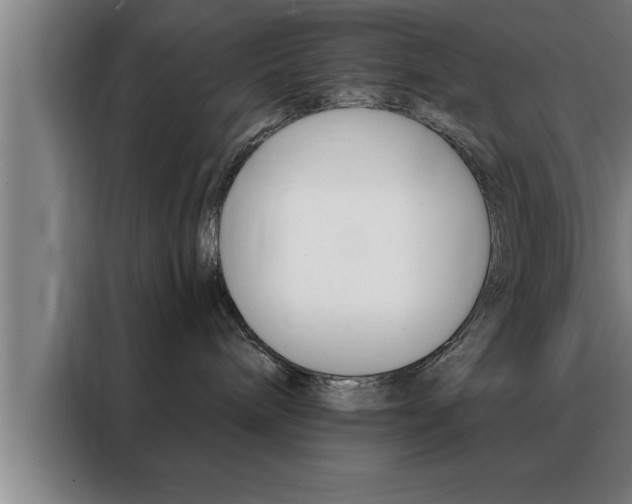 X0000088490240200705221029