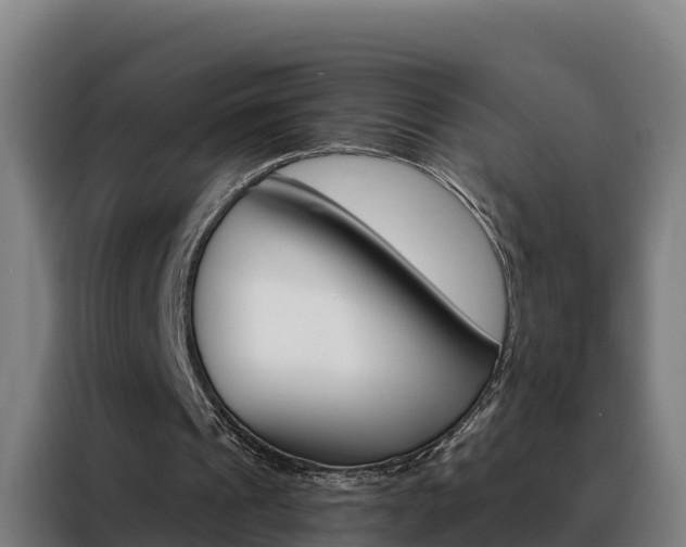 X0000088490241200705221028