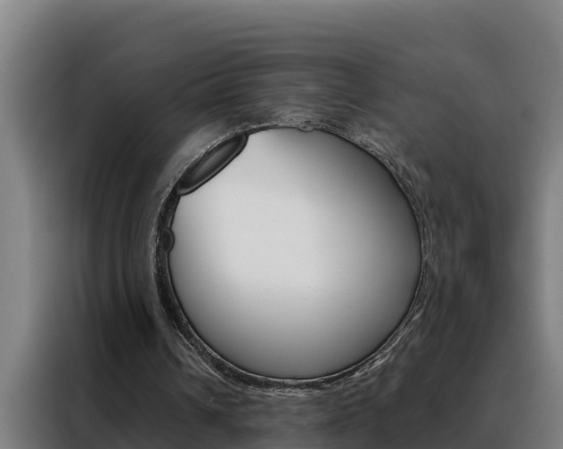 X0000088490242200705221028