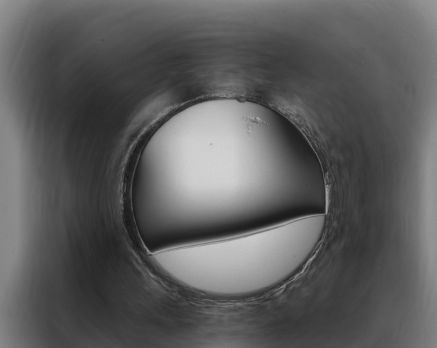 X0000088490243200705221028