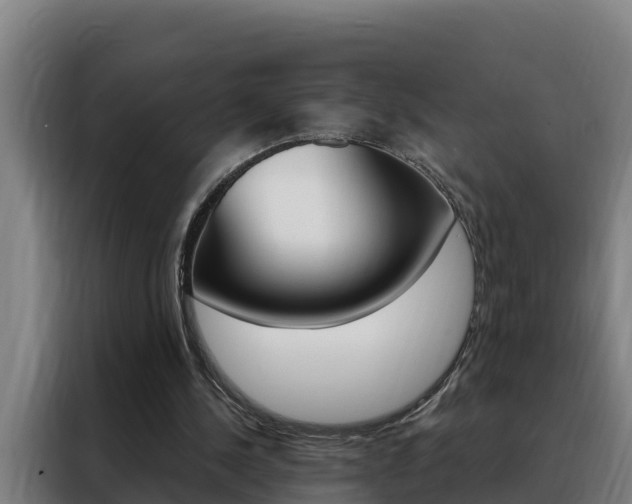 X0000088490244200705221028