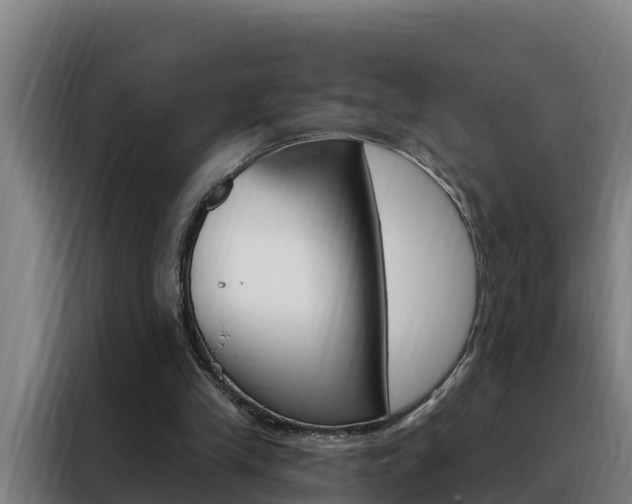 X0000088490245200705221028