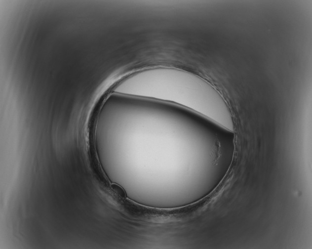 X0000088490246200705221028