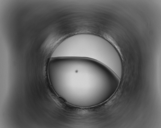 X0000088490249200705221028