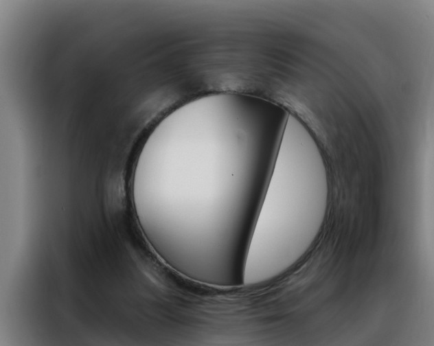 X0000088490251200705221028