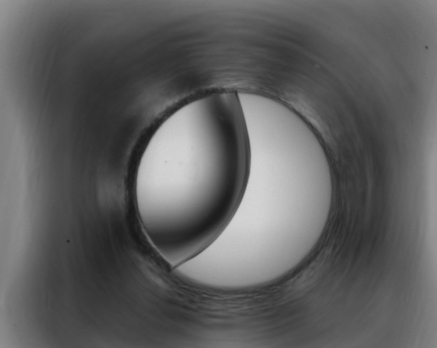 X0000088490252200705221028