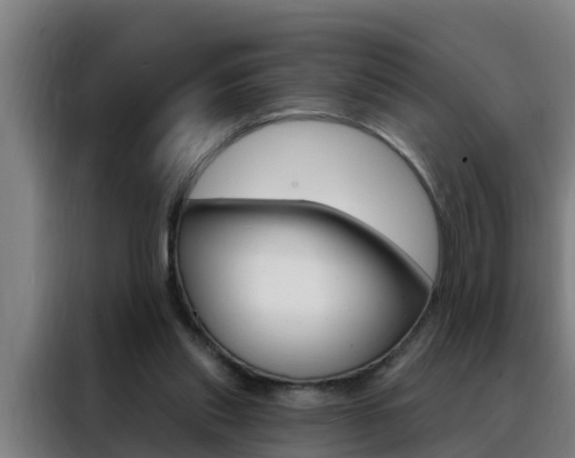 X0000088490253200705221028
